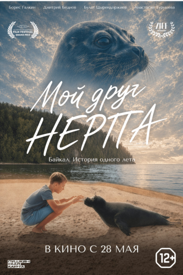 Мой друг нерпа